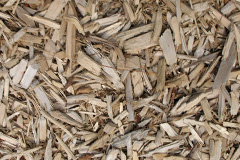 biomass boilers Carnoustie